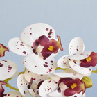 Arranjo De Orquídea Tigre De Silicone No Vaso Preto | Formosi